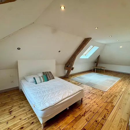 Villa Des Troènes - Centre - Vue Sur L'allier Avec Piscine *