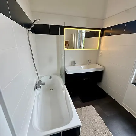 Des Troènes - Centre - Vue Sur L'allier Avec Piscine * Vichy