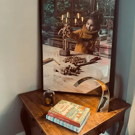 Des Troènes - Centre - Vue Sur L'allier Avec Piscine Vichy