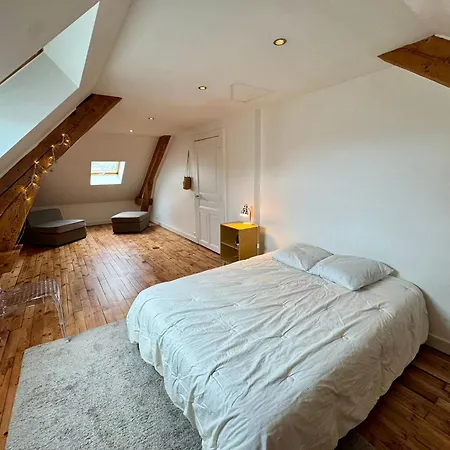 Des Troènes - Centre - Vue Sur L'allier Avec Piscine Vichy