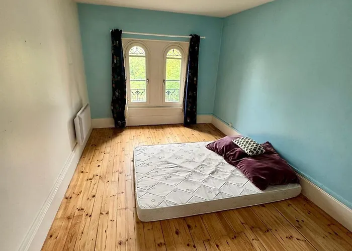 Des Troenes - Centre - Vue Sur L'allier Avec Piscine *