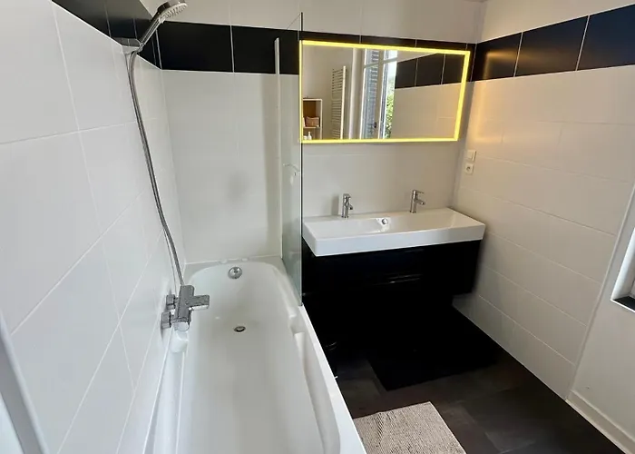 Des Troenes - Centre - Vue Sur L'allier Avec Piscine * Vichy