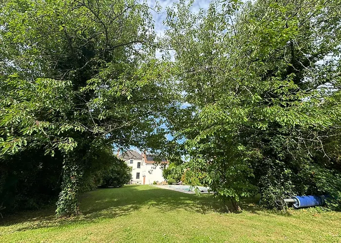 Des Troenes - Centre - Vue Sur L'allier Avec Piscine